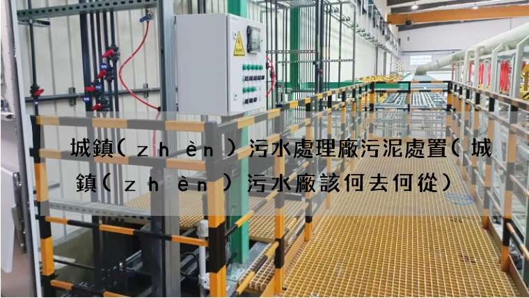城鎮(zhèn)污水處理廠污泥處置(城鎮(zhèn)污水廠該何去何從)